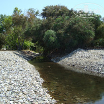 фото из отзыва ID 2028271