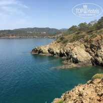 фото из отзыва ID 2028271