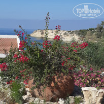 фото из отзыва ID 2028259