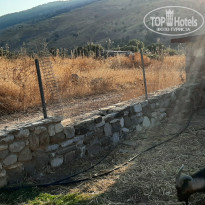 фото из отзыва ID 2028259