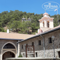 фото из отзыва ID 2028259