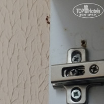 фото из отзыва ID 2028401