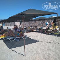 фото из отзыва ID 2028397