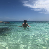 фото из отзыва ID 2028528