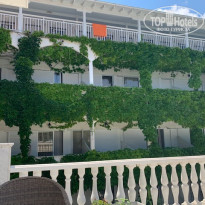 фото из отзыва ID 2028424