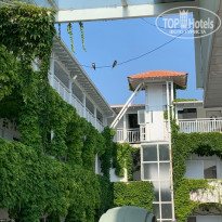 фото из отзыва ID 2028424