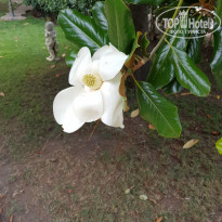 фото из отзыва ID 2028516