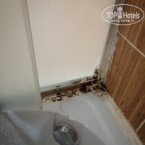 фото из отзыва ID 2028606