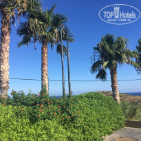 фото из отзыва ID 2028667