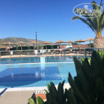 фото из отзыва ID 2028667