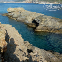 фото из отзыва ID 2028661