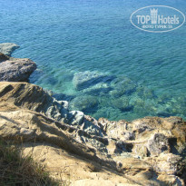 фото из отзыва ID 2028661