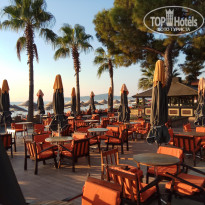 фото из отзыва ID 2028728