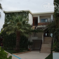 фото из отзыва ID 2028728