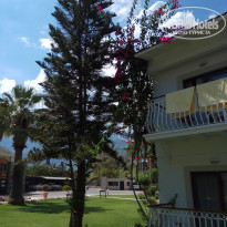 фото из отзыва ID 2028728