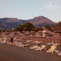 фото из отзыва ID 2028728