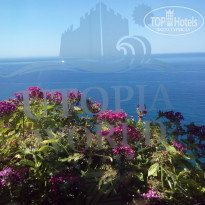 фото из отзыва ID 2028850