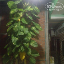 фото из отзыва ID 2028873