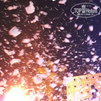 фото из отзыва ID 2028980