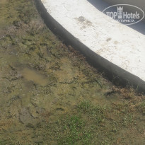 фото из отзыва ID 2028697