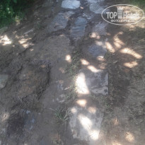 фото из отзыва ID 2028697