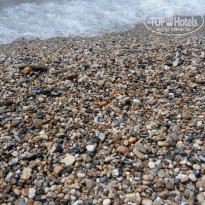 фото из отзыва ID 2029050