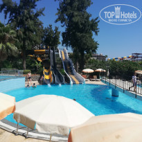 фото из отзыва ID 2029050