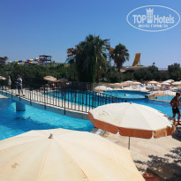 фото из отзыва ID 2029050