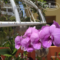 фото из отзыва ID 2028913