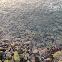 фото из отзыва ID 2029106