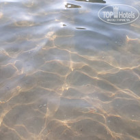 фото из отзыва ID 2029136