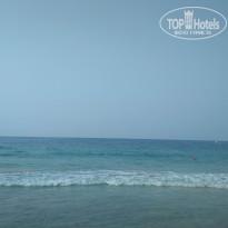 фото из отзыва ID 2029216