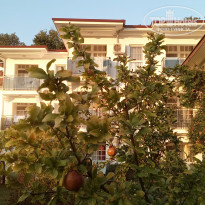 фото из отзыва ID 2029227