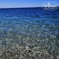 фото из отзыва ID 2029273