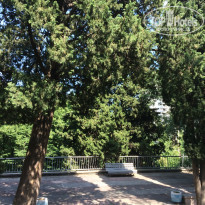 фото из отзыва ID 2029329