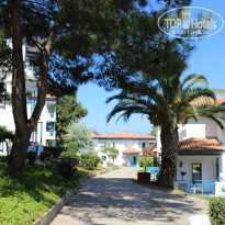 фото из отзыва ID 2029344