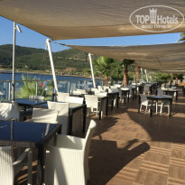 фото из отзыва ID 2029344