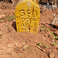 фото из отзыва ID 2029471