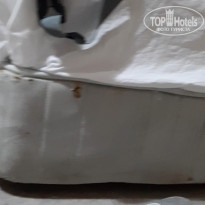 фото из отзыва ID 2029496