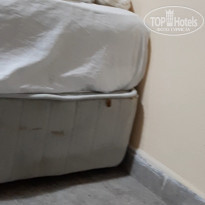 фото из отзыва ID 2029496