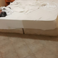 фото из отзыва ID 2029496