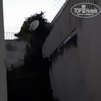 фото из отзыва ID 2029496