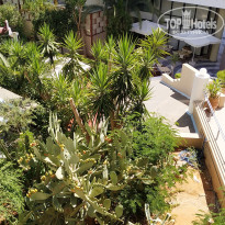 фото из отзыва ID 2029516