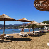 фото из отзыва ID 2029516