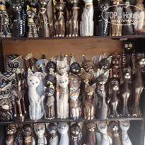 фото из отзыва ID 2029566