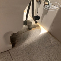 фото из отзыва ID 2029581