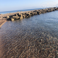 фото из отзыва ID 2029570