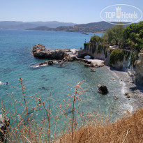 фото из отзыва ID 2029516