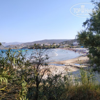 фото из отзыва ID 2029516