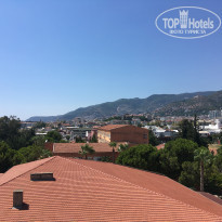 фото из отзыва ID 2029676